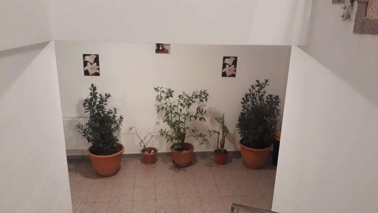 فندق Casa Dobrescu Centura De Nord كرايوفا المظهر الخارجي الصورة